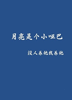 月亮是个小哑巴封面