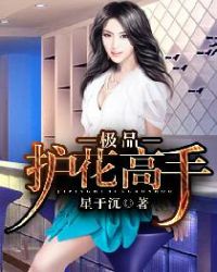极品护花高手封面