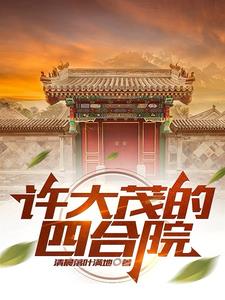 许大茂的四合院封面