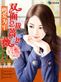 双面总裁蔷薇妻封面