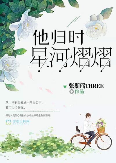 他归时星河熠熠封面