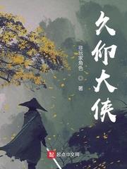 久仰大侠封面