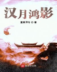 汉月鸿影封面