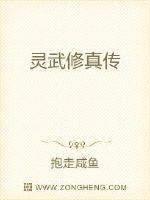 灵武修真传封面