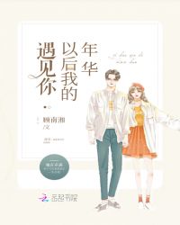 遇见你以后我的年华封面