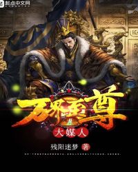 万界至尊大媒人封面