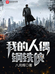 我的人偶钢铁侠封面