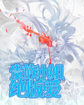 贵族小姐绝版爱封面