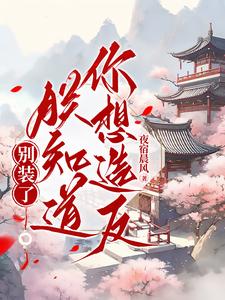 不娶皇姐，娶朕可好封面