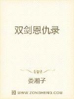 双剑恩仇录封面