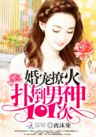 婚宠撩火：扑倒男神101次封面