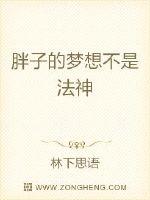 胖子的梦想不是法神封面