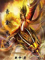青金龙盾封面