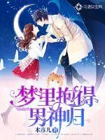 梦里抱得男神归封面