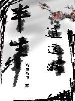 半生逍遥游封面