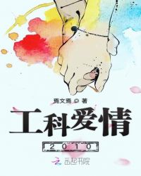 工科爱情2010封面