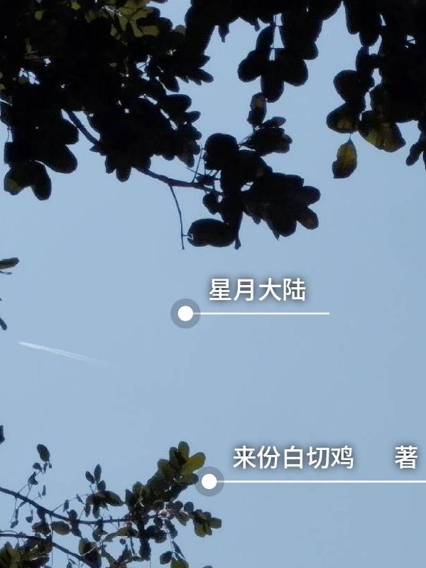 星月大陆封面