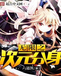 无限之次元分身封面