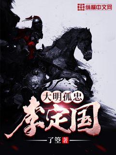 大明孤忠李定国封面