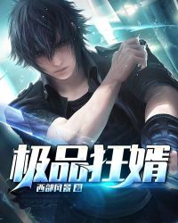 极品狂婿封面