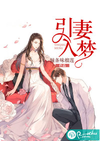 引妻入梦封面