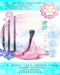 情锁.凌家堡封面