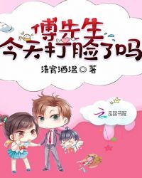 傅先生,今天打脸了吗封面