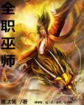 全职巫师封面