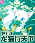 龙猫行天下封面