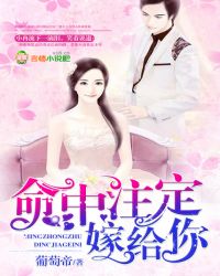 命中注定嫁给你封面