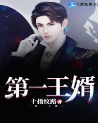 第一王婿封面