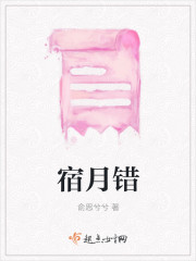 宿月错封面
