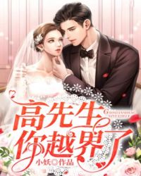 高先生你越界了封面