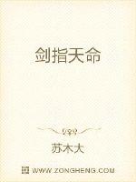 剑指天命封面