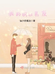 我的钢铁男友封面