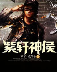 紫轩神侯封面