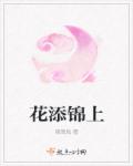 花添锦上封面