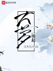 大梦一场起封面