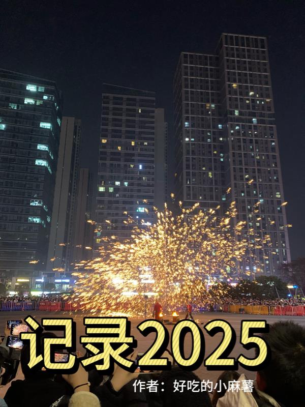 记录2025封面