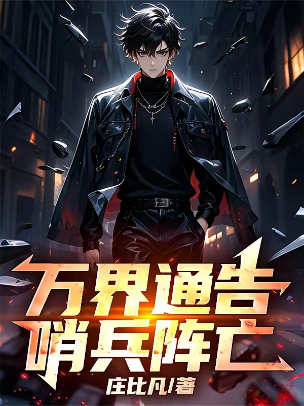 最后一个哨兵封面