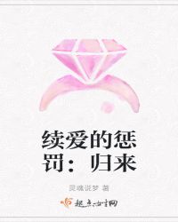 续爱的惩罚：归来封面