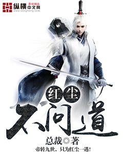 红尘不问道封面