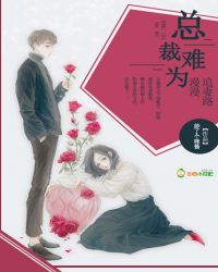 总裁难为：漫漫追妻路封面