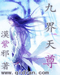 九界天尊封面