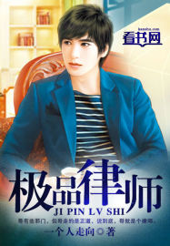 极品律师封面