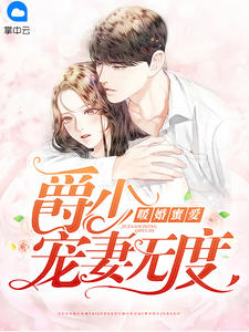 爵少宠妻无度封面
