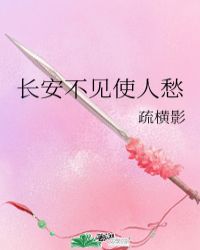 长安不见使人愁封面