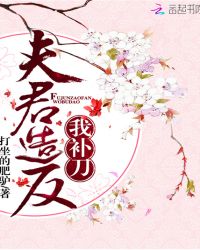 夫君造反我补刀封面