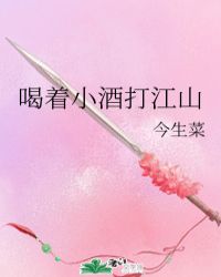 喝着小酒打江山封面