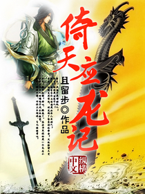 倚天应龙记封面
